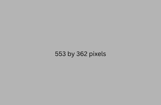553 by 362 pixels